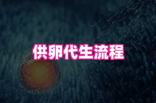 swisee孕网 1