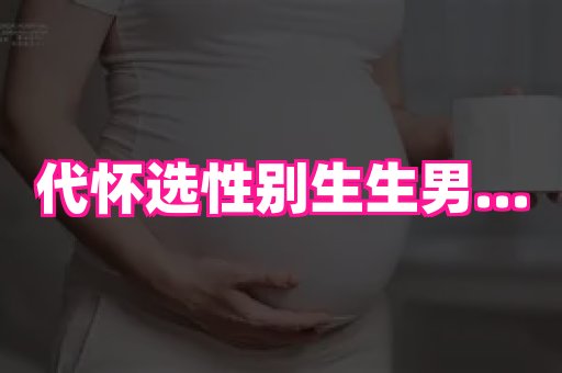 swisee孕网 4